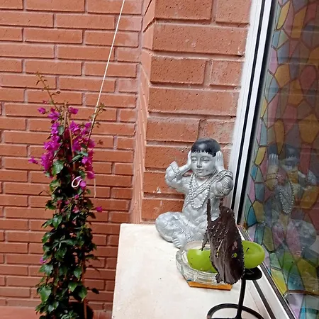 Ilve Apartman Alicante